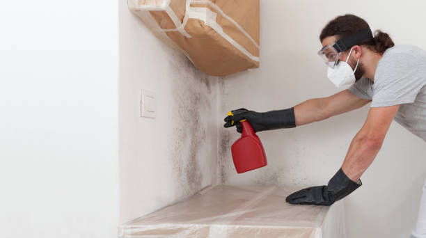 Professional Bathroom Mold Removal technician working in Landisville, PA