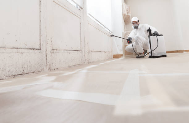 24/7 Emergency Bathroom Mold Removal experts in Landisville, PA